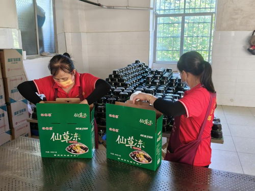 年順食品廠 守護(hù)贛南餐桌安全，共筑健康生活新未來